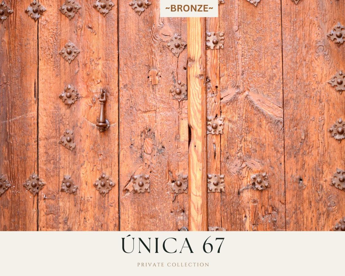 BRONZE by Unica 67, encanto del siglo XVI - Bed and Breakfast Toledo