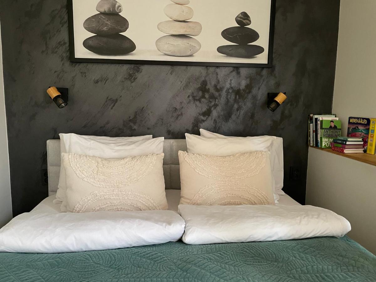 Puiestee apartment - B&B Valga