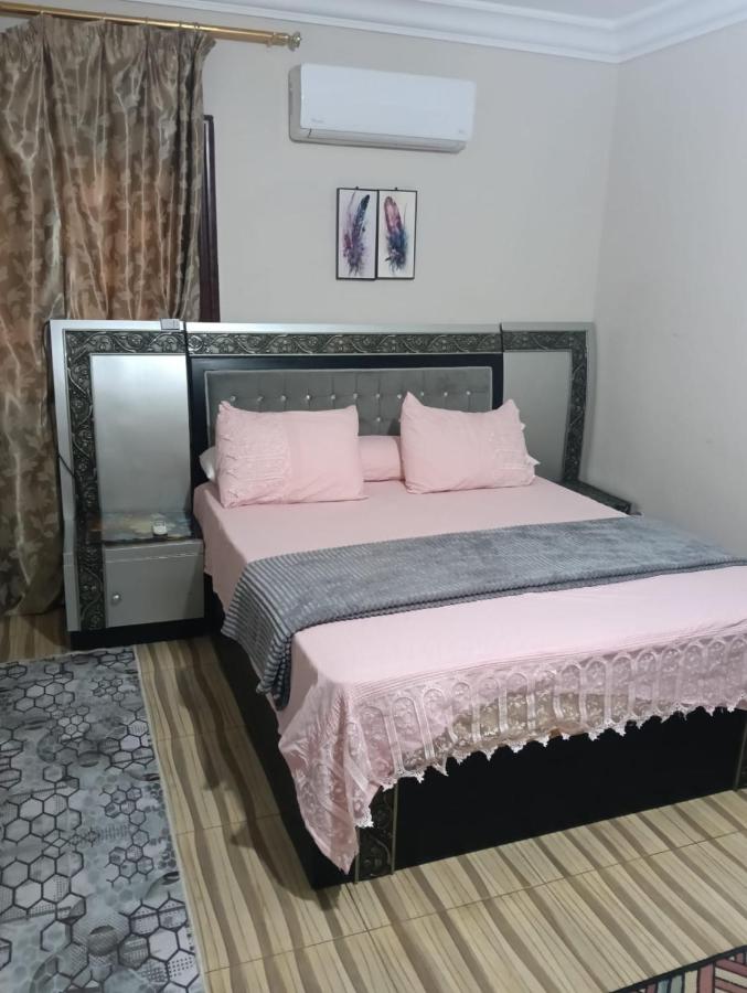 شقة على النيل المنصورة - Ferienwohnung Al-Mansura