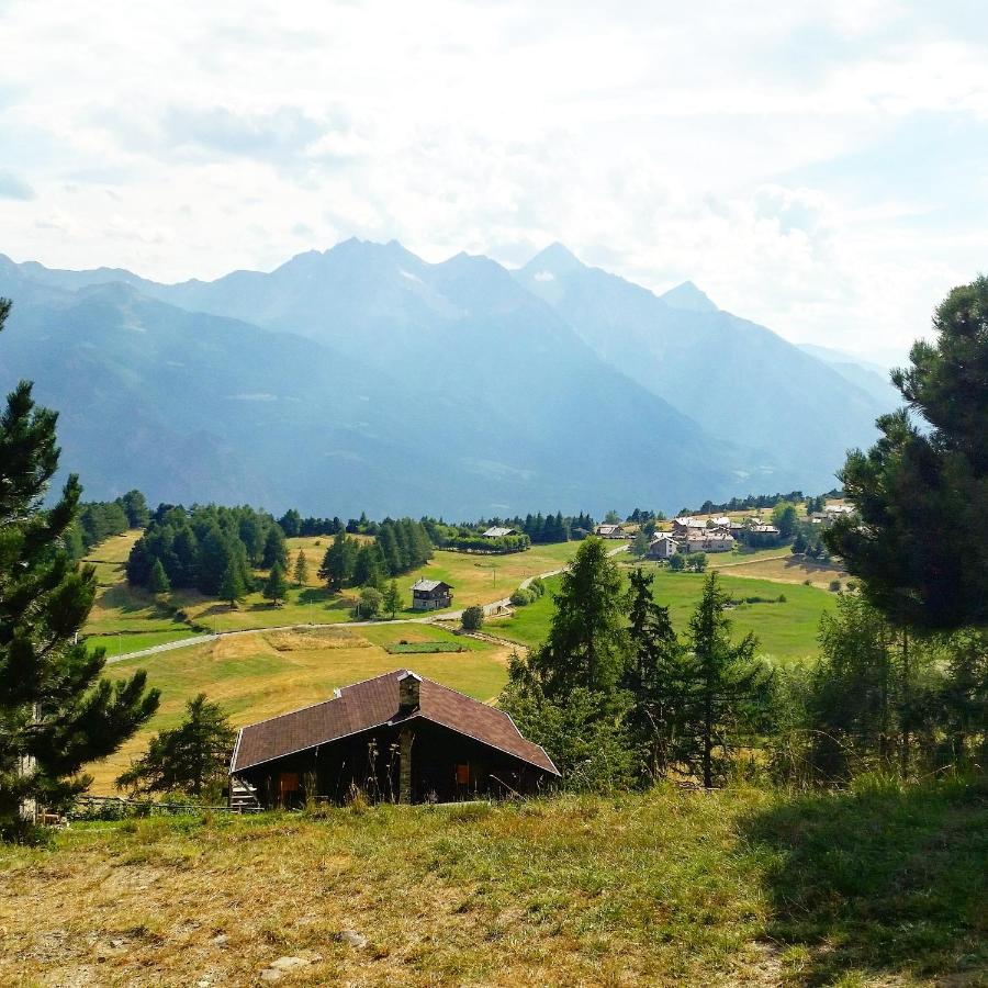 Chalet Mondjoin - B&B Torgnon