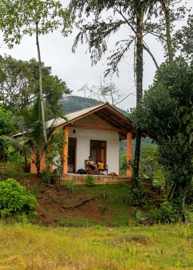Forest & Fields Sinharaja - B&B Deniyaya