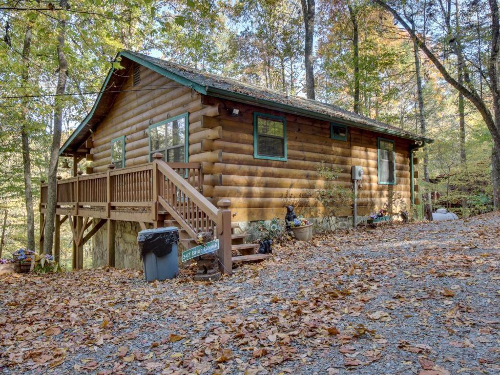 Tree Song Mountain Creek Cabin - B&B Ellijay