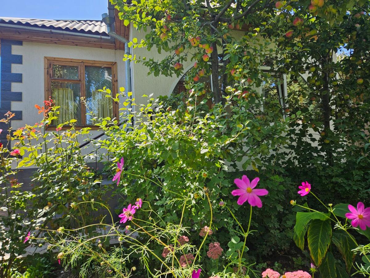 Гостевой дом - Bed and Breakfast Cholpon-Ata