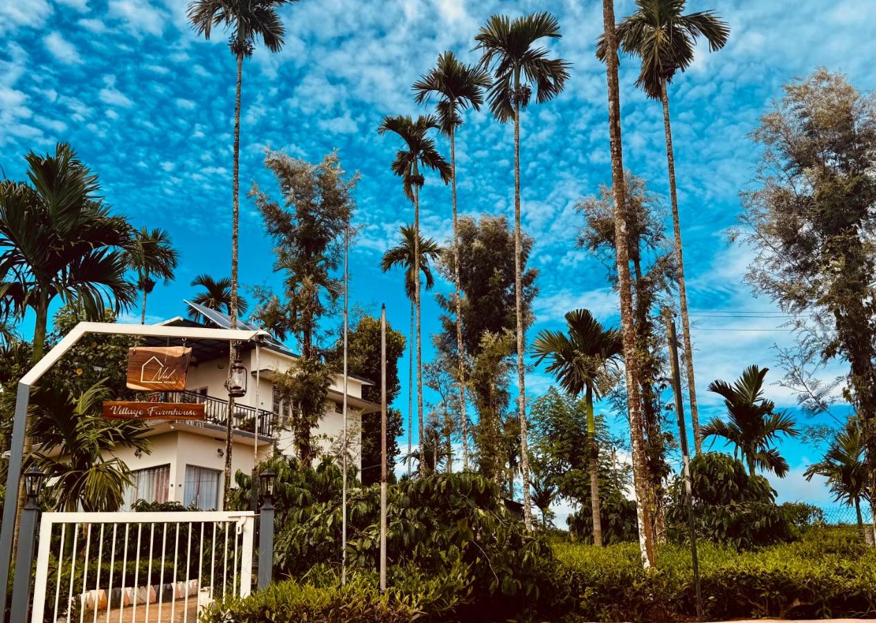 Mogra - B&B Ganapathivattam