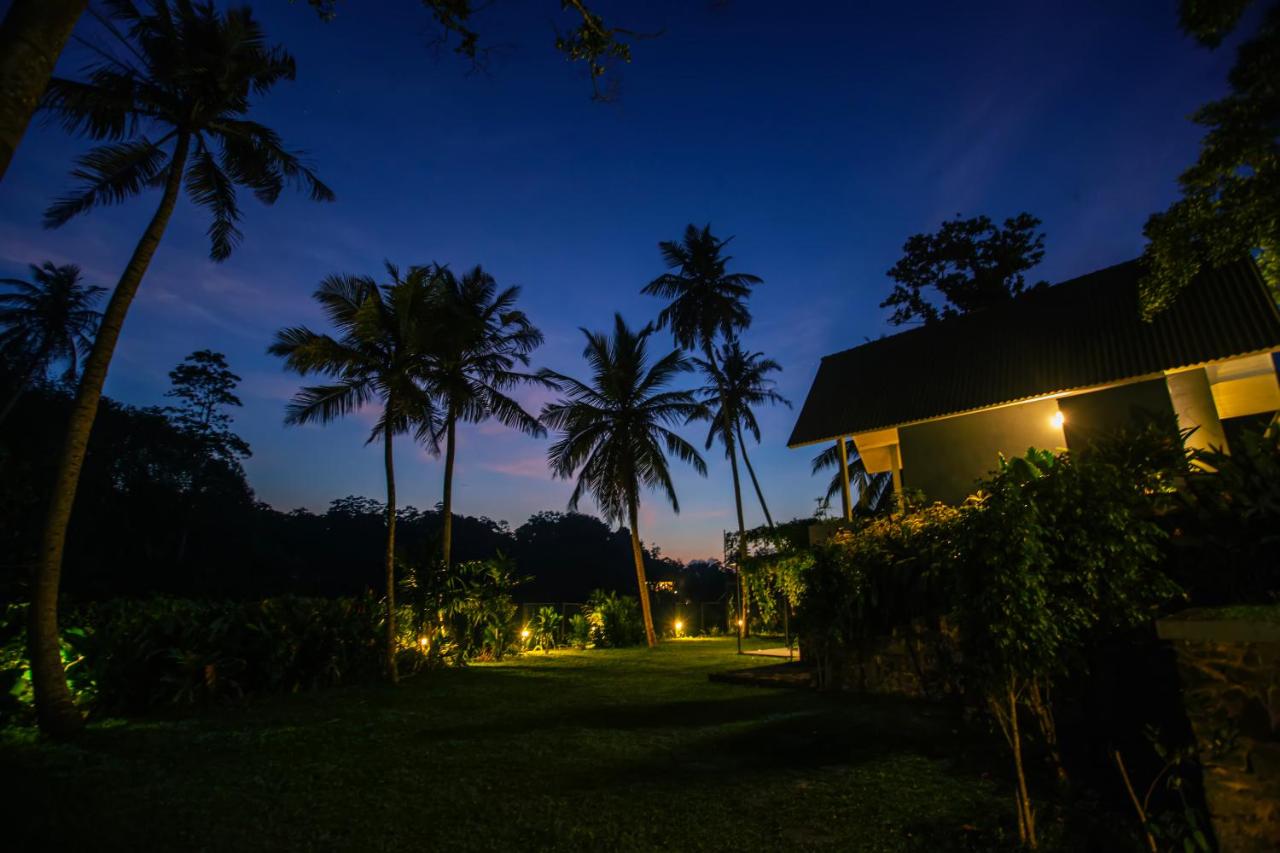 Greencliff Mirissa - B&B Mirissa city