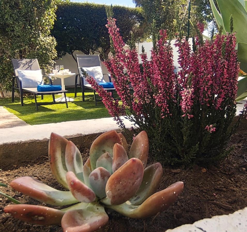 Vilamoura Garden House - Golf & Beach - B&B Vilamoura