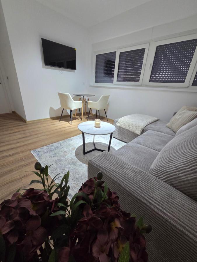 Apartment mit 1 Schlafzimmer