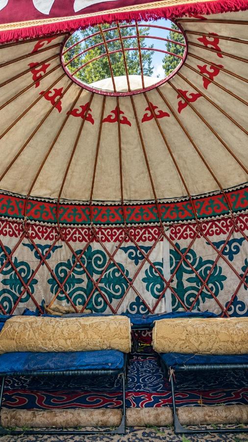 Nomad Camp - B&B Ak-Suu
