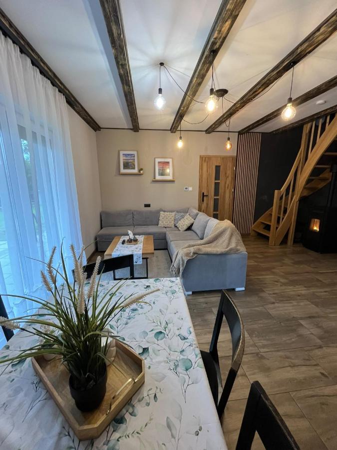 Domek Brzozowy - Ferienwohnung Karpniki