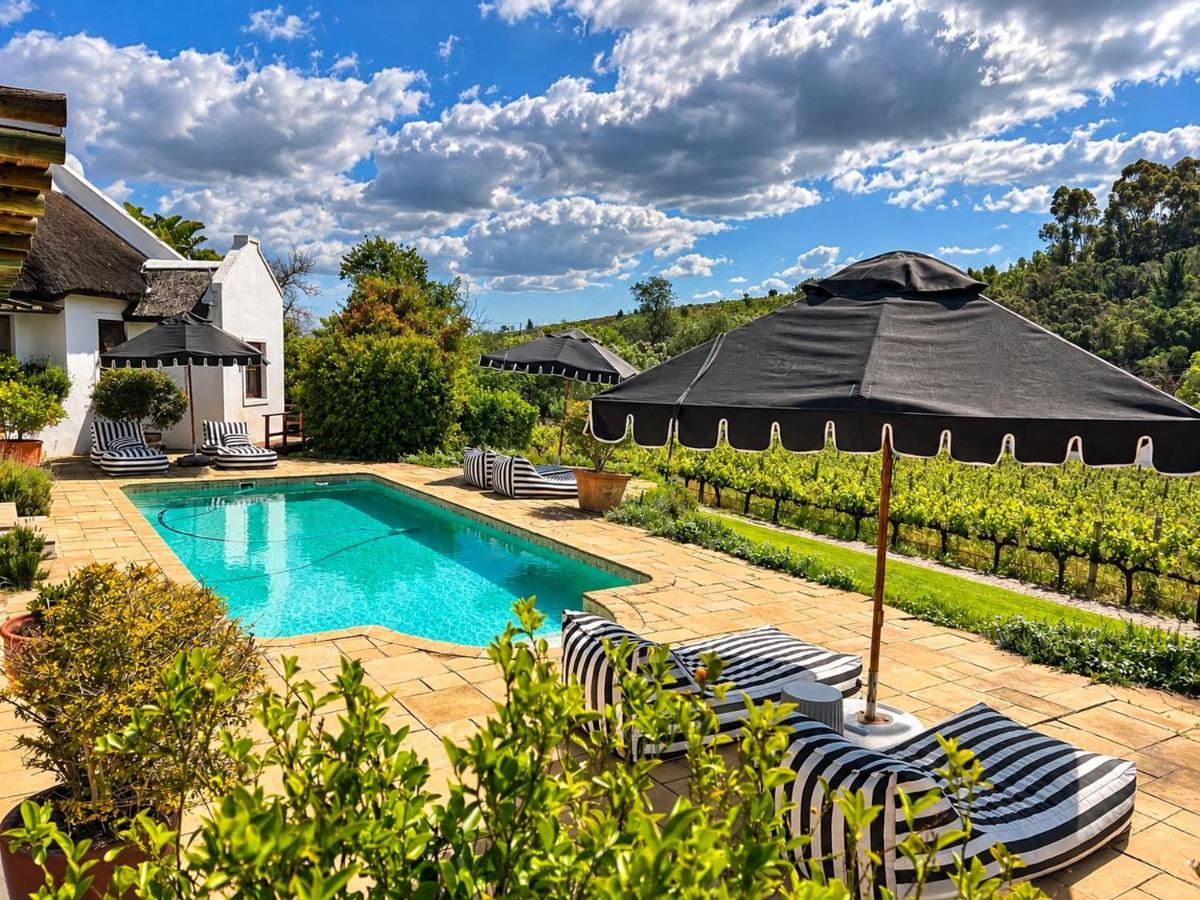 Appartement - Vue sur Piscine 