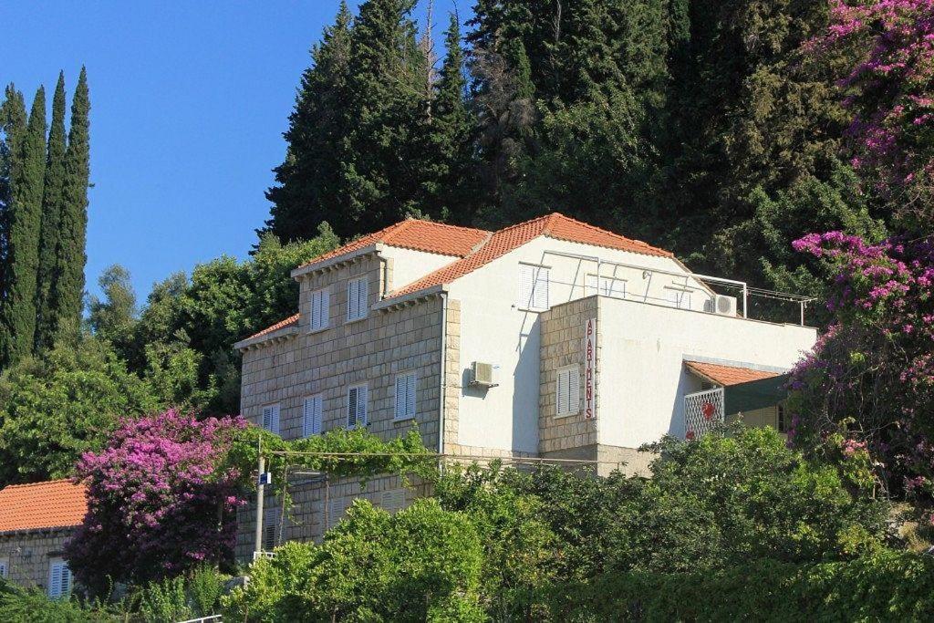 Apartments Bianki - B&B