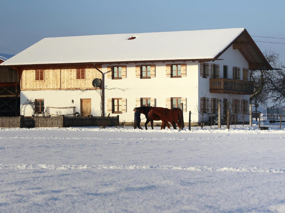Springerhof - B&B Schechen