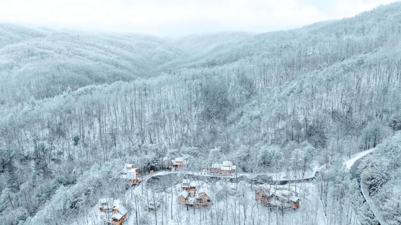 The Green Ash in Treehouse Grove at Norton Creek - B&B Gatlinburg