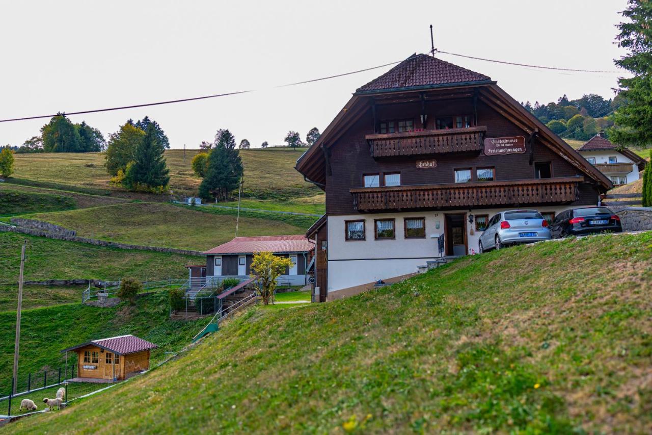 Schwarzwaldhaus Eckhof - Chambres d'hôtes Wieden