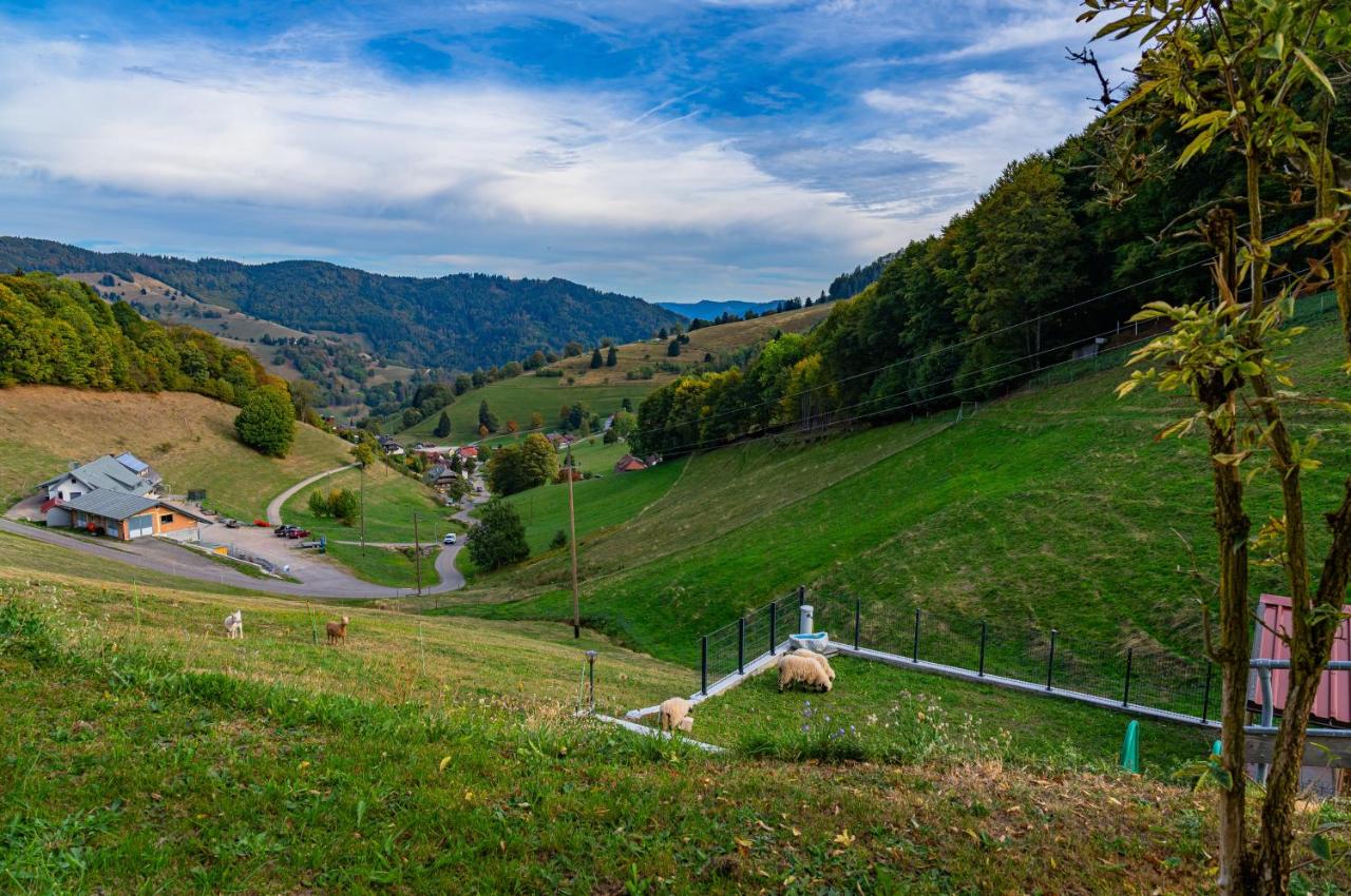 Schwarzwaldhaus Eckhof - Chambres d'hôtes Wieden