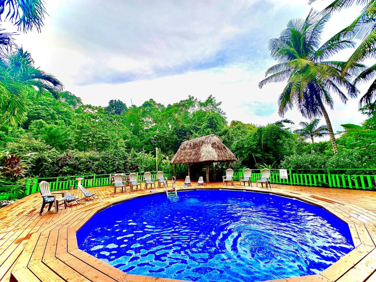 Maya Mountain Lodge - Chambres d'hôtes San Ignacio