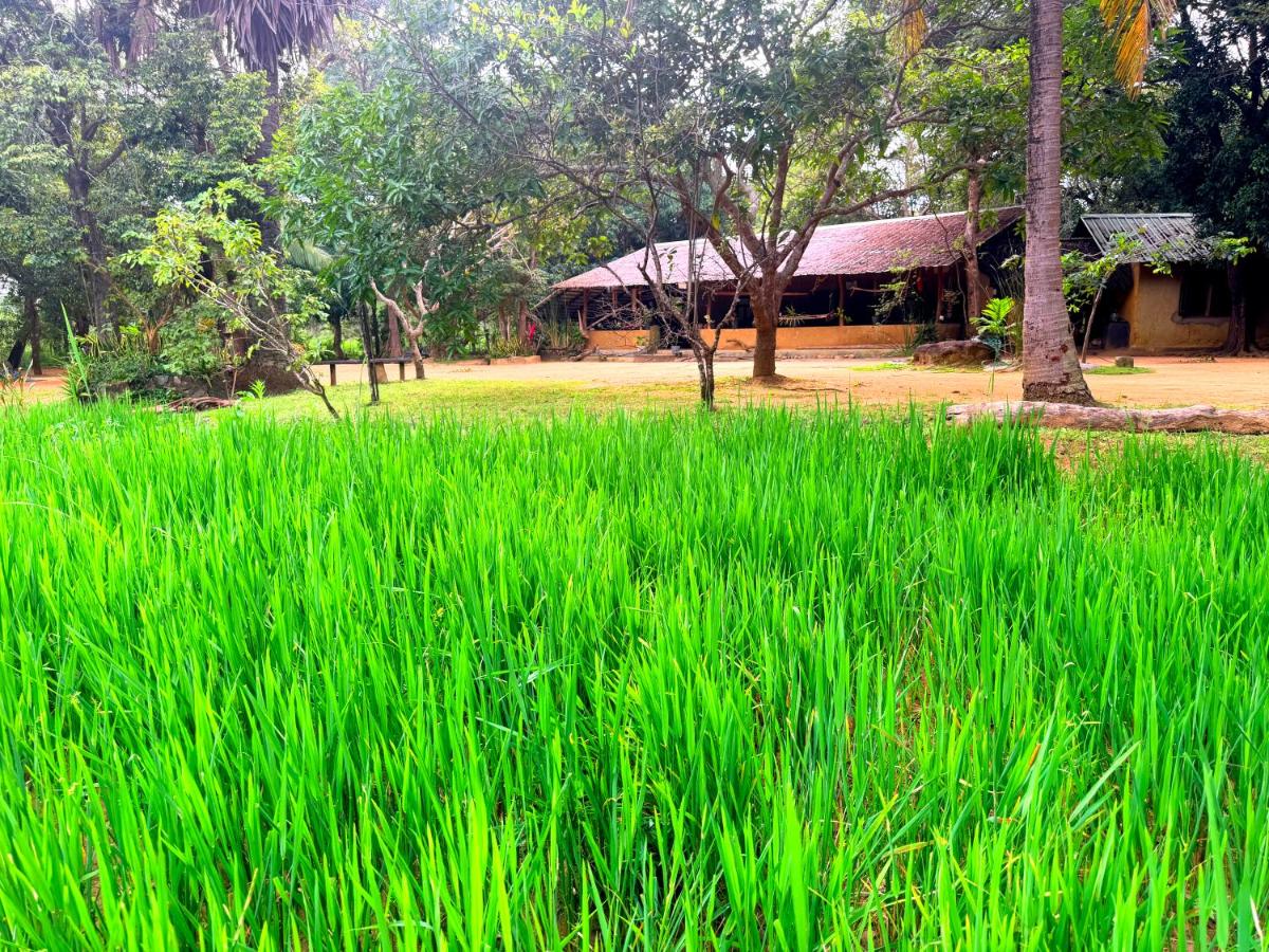 Kamatha Eco Lodge - B&B Habarana