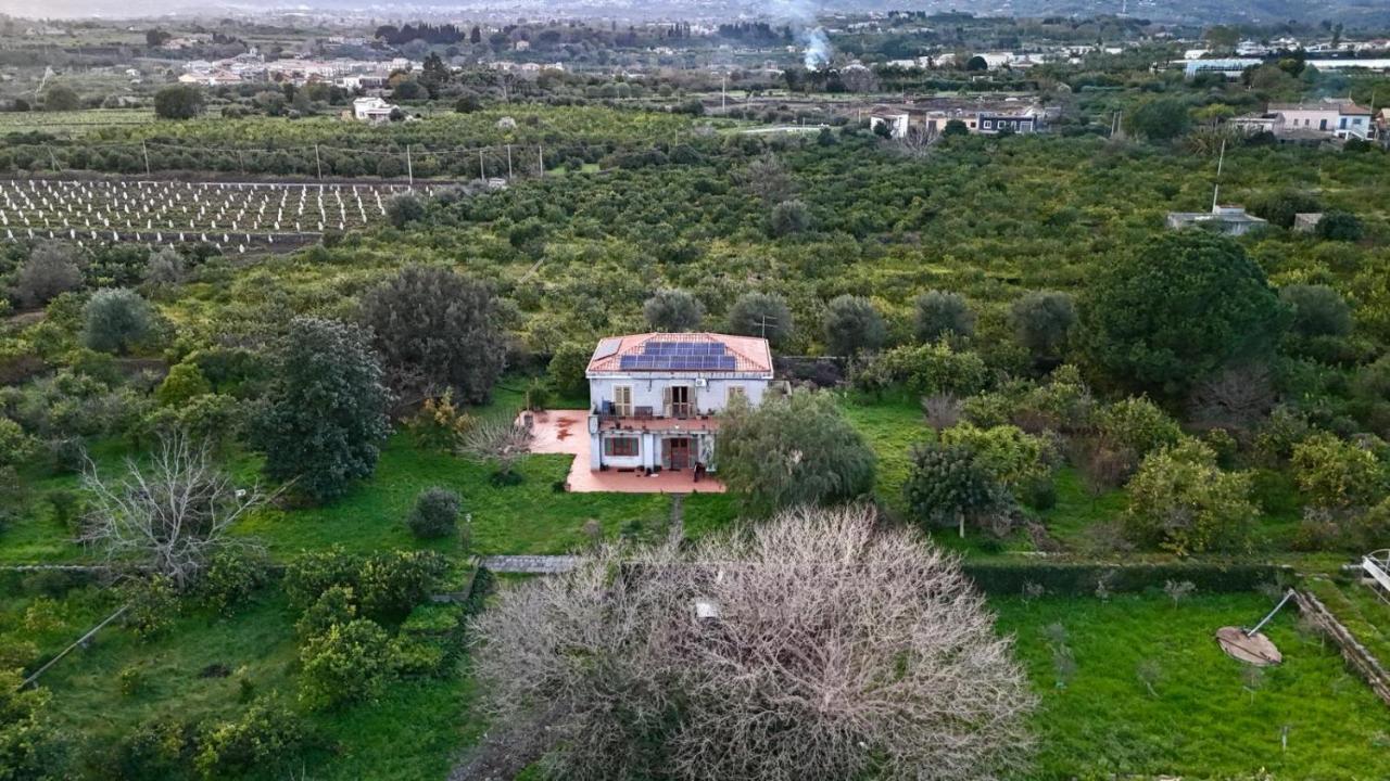 La casetta nel limoneto tra il Mare e il vulcano - B&B San Leonardello