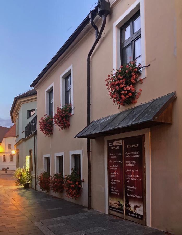 Penzion a wellness U Třeboňské madony - Ferienwohnung Wittingau