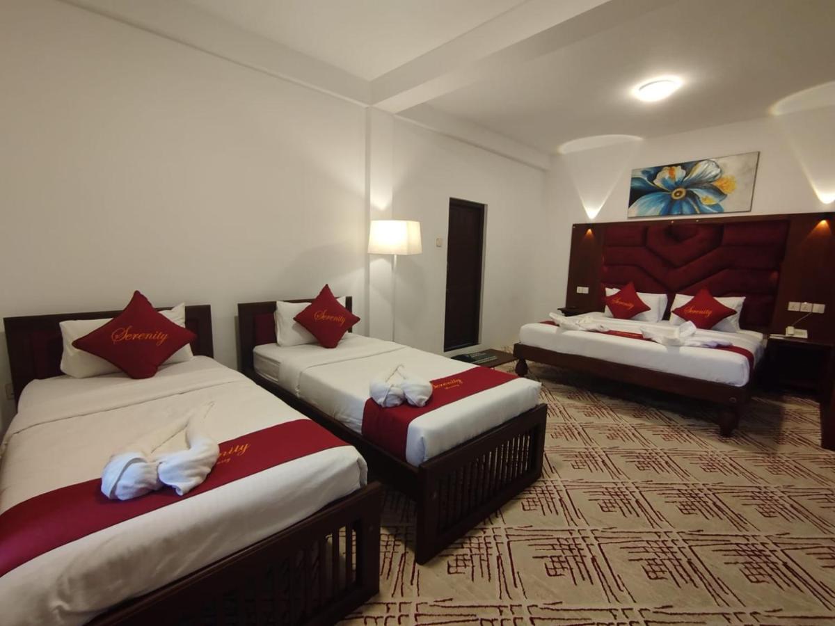 Chambre Familiale avec Terrasse 