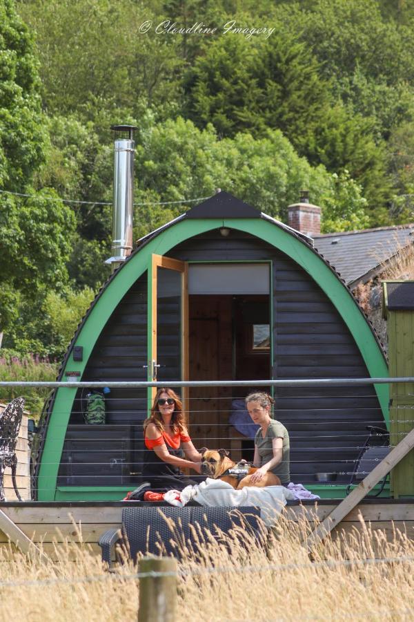 Scenic Pet Friendly Pod in Talybont Aberystwyth - Ferienwohnung Aberystwyth