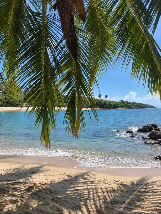 Surf Beach Apts | 3BR & Walk to Black Eagle Beach - B&B Rincón