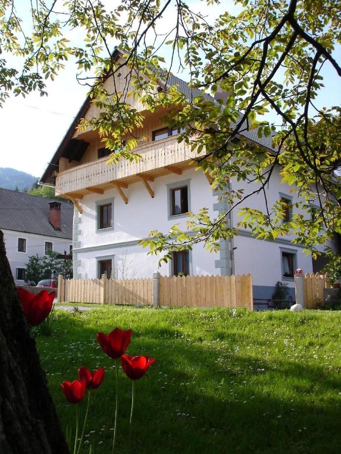Ana Antloga Apartments - B&B Bled