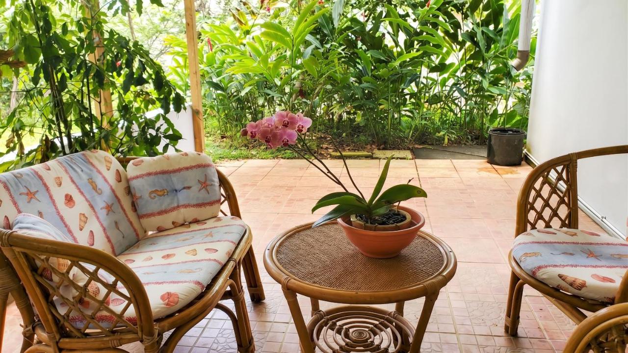 Appartement charmant à Sainte-Rose - 70m² avec terrasse - B&B Sainte-Rose