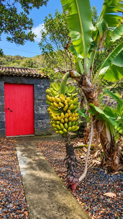 Casinha de Nesquim - B&B Calheta de Nesquim