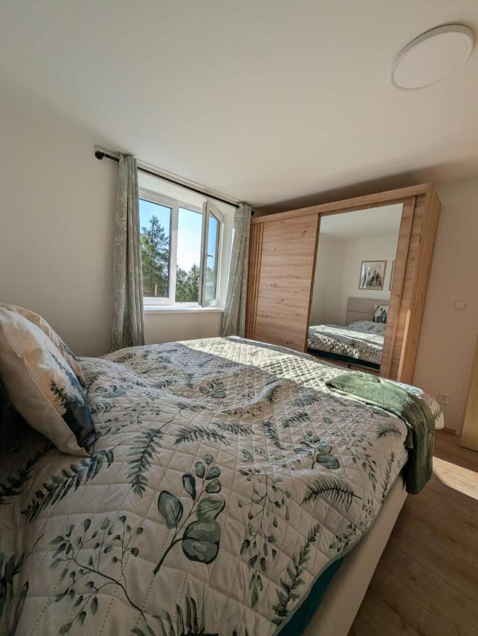 Apartmán EVE - B&B Žacléř