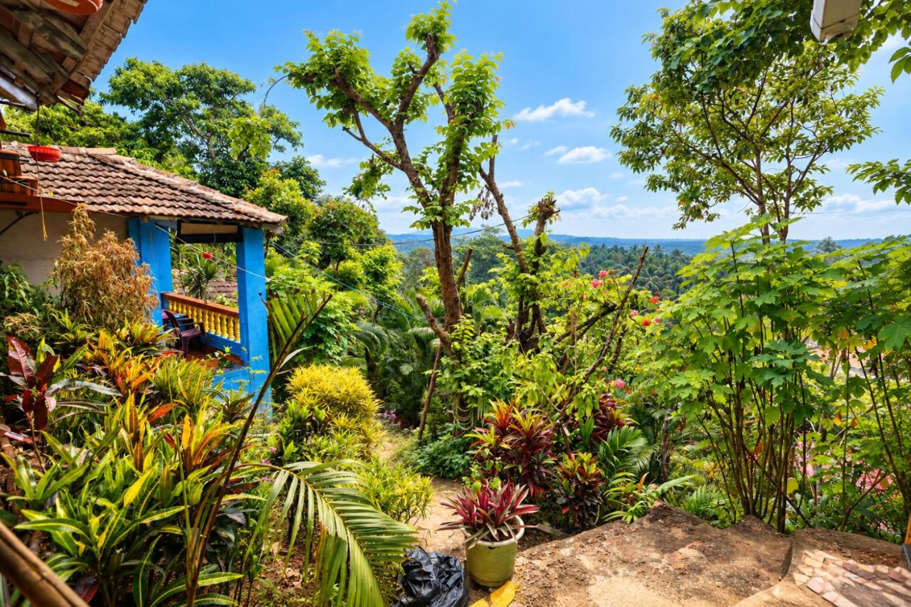 Ormal Guest House - Agonda - Blue - B&B Agonda
