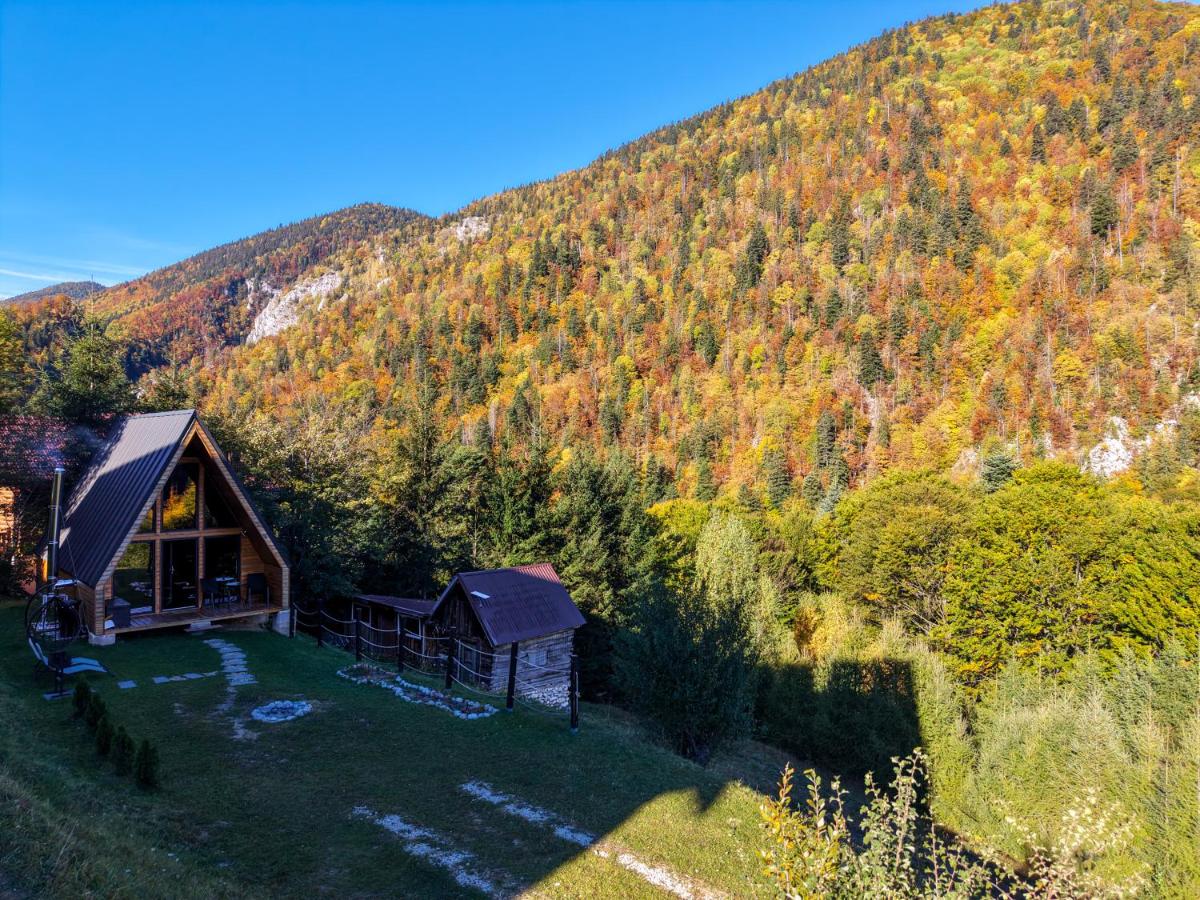 A Way To Nature - Ferienwohnung Măgura