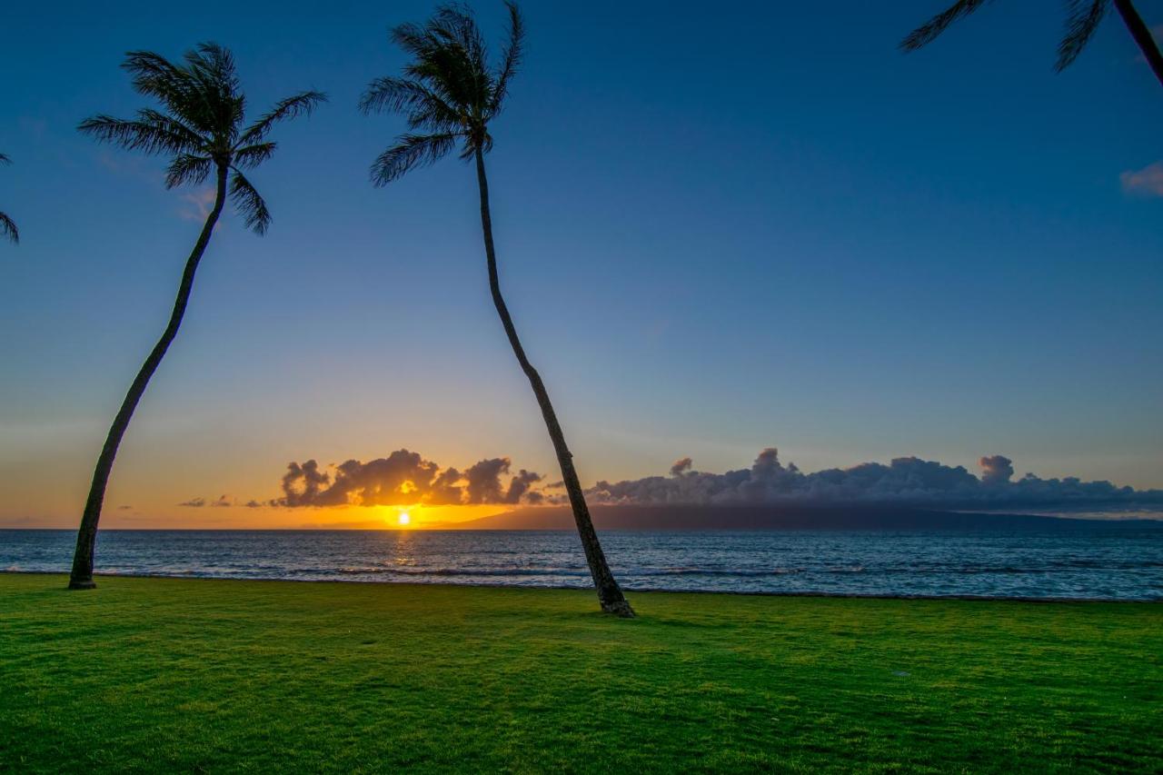 Papakea C203 - B&B Kahana