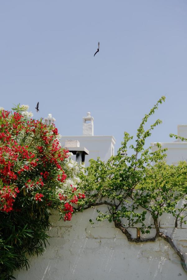 Masseria Don Luigi-Luxury Farmhouse - Bed and Breakfast Savelletri Di Fasano
