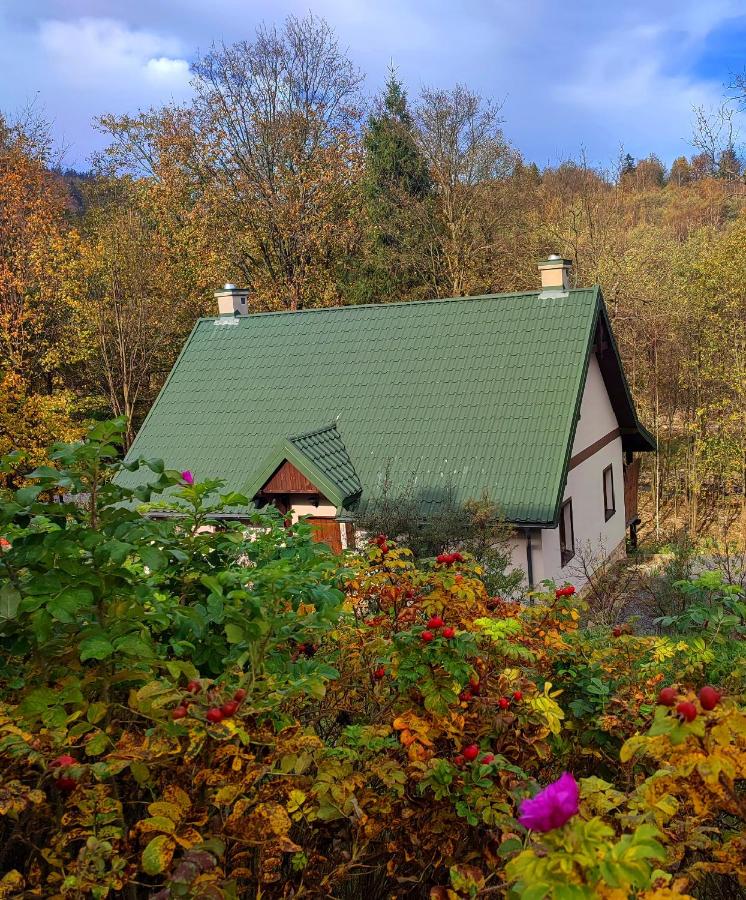 Wesoła Chmura - B&B Kletno