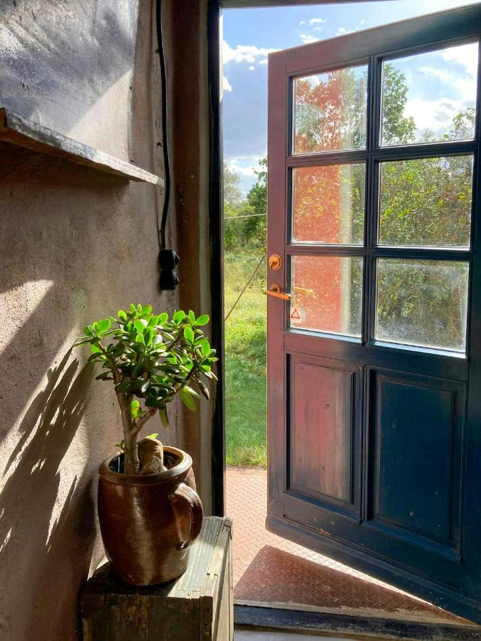 Historic School Apartment In Rensow - B&B Rensow