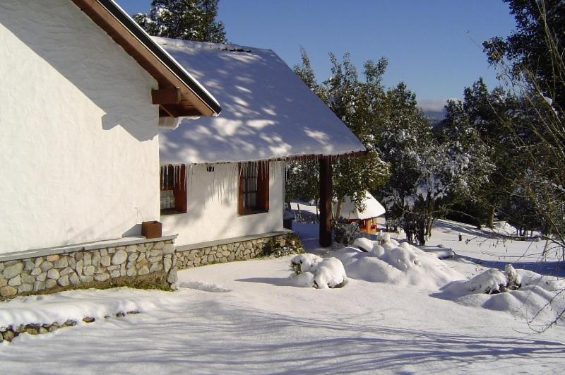 Bungalow (5 Volwassenen)