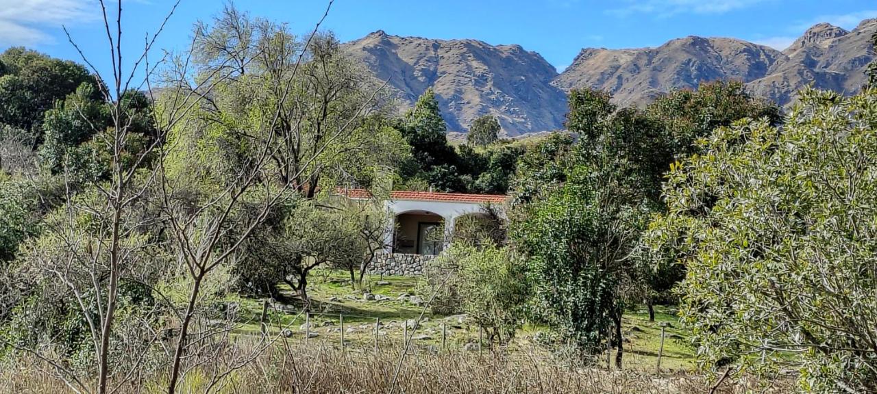 ASM CASA III - Ferienwohnung Merlo