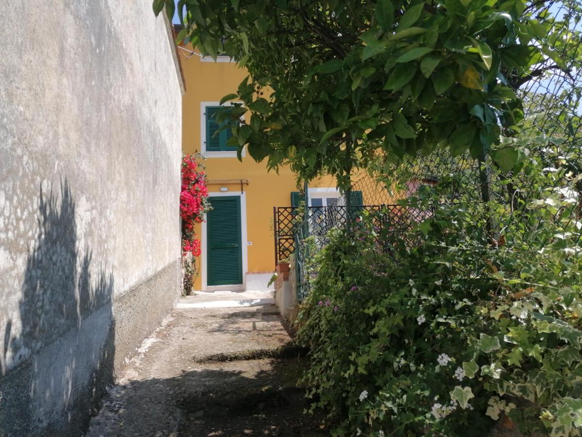Floral House vista mare a Lerici - B&B Lerici