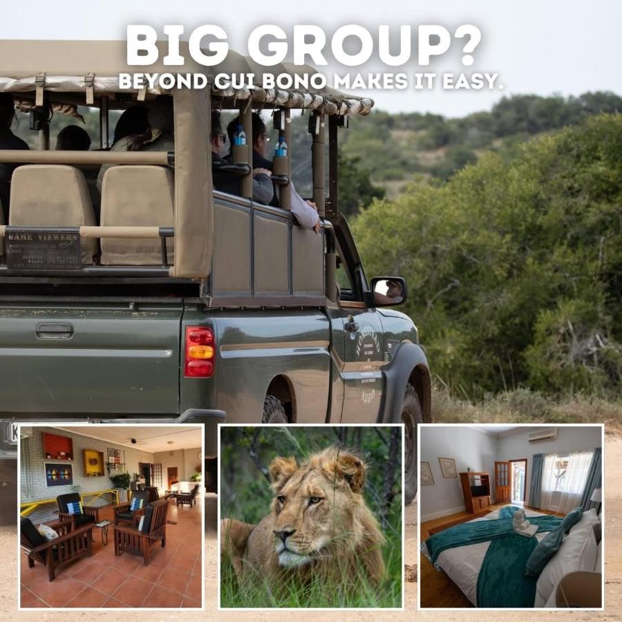 Beyond Cui Bono - Travel Addo Group - Chambres d'hôtes Sunland