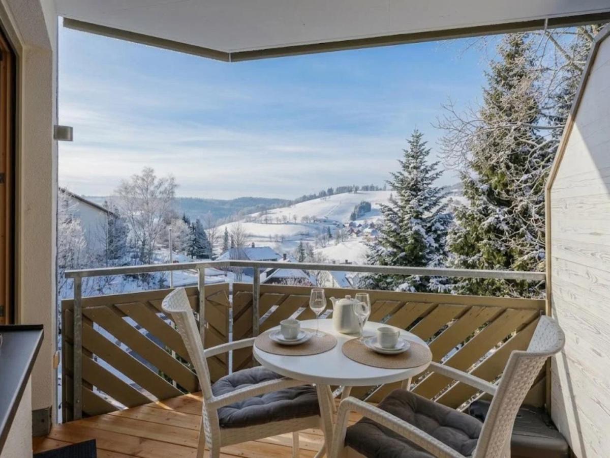 Fewo Tannzäpfle mit Sauna im Haus und Bergblick - Nähe Skilift und Loipe, E-Ladestation - Ferienwohnung Todtnauberg