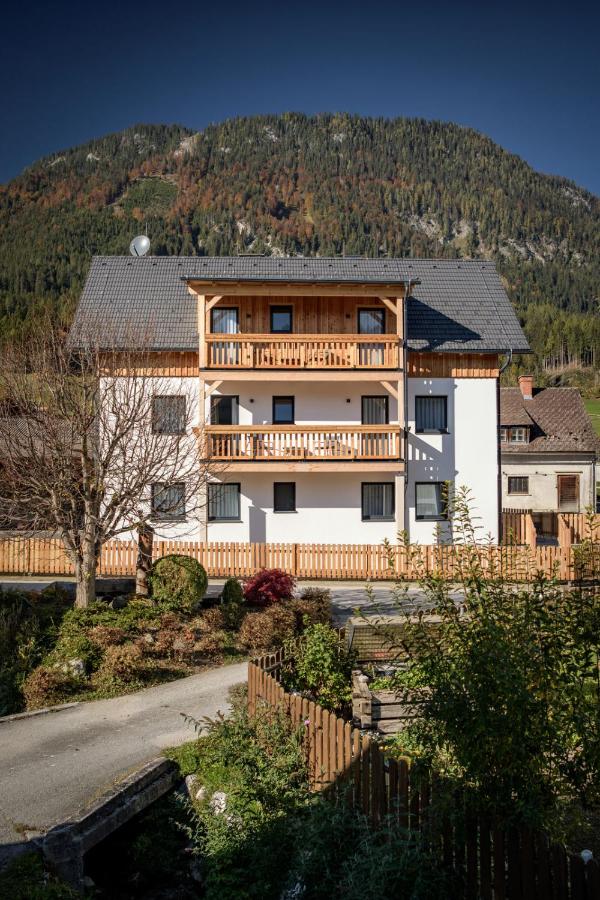 Alpen Apartments Familie Frangu - B&B Oberlengdorf