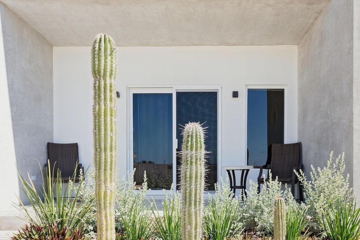Casa Valentina Del Mar apartment 4 - B&B Todos Santos