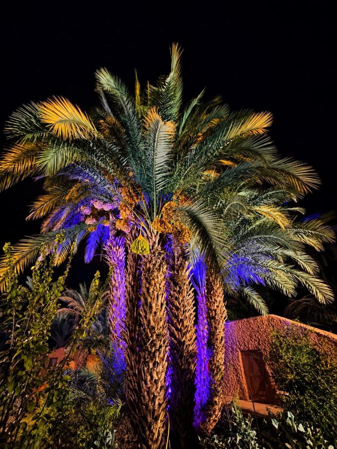 Bivouac Lot Of Stars - B&B Ouarzazate