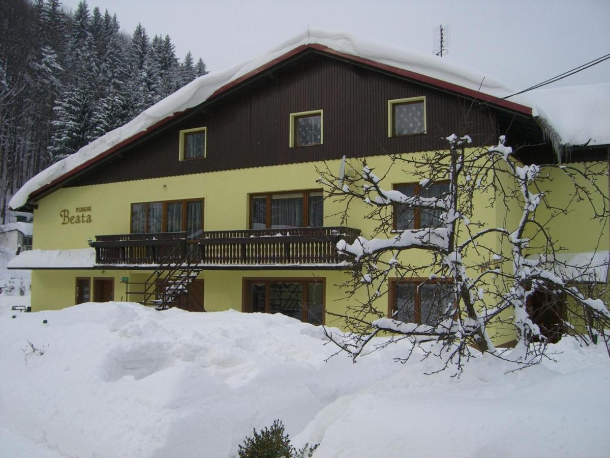 Pokoje Beata - Ferienwohnung Wisla