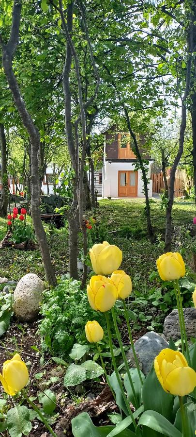 Delta Garden II - B&B Bariloche