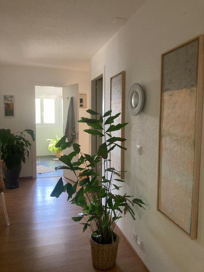 Exploring Lac Leman from above - Ferienwohnung Chardonne VD