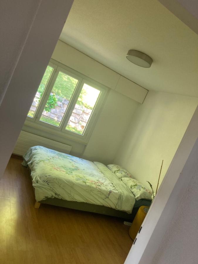 Exploring Lac Leman from above - Ferienwohnung Chardonne VD