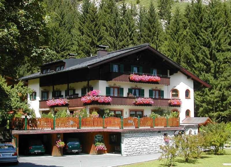 Pension Sonneck - Ferienwohnung