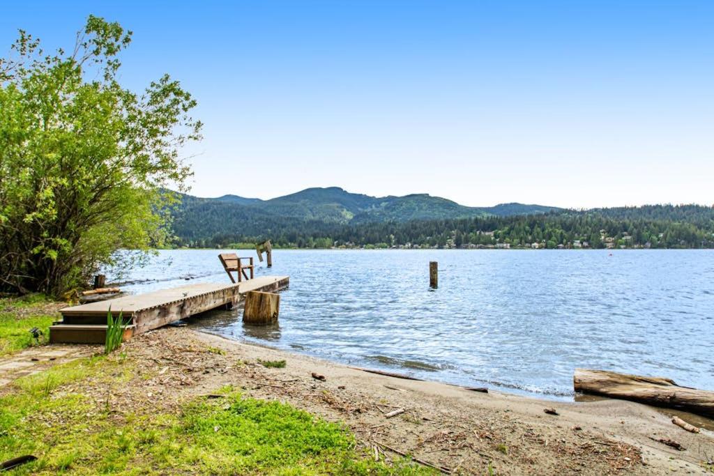 Silver King - B&B Bellingham